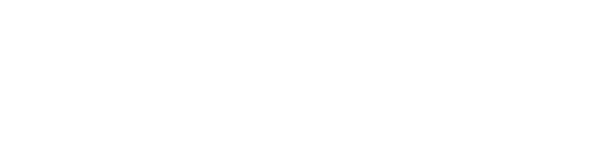 DIGITAL IMPRINT OF STYLE